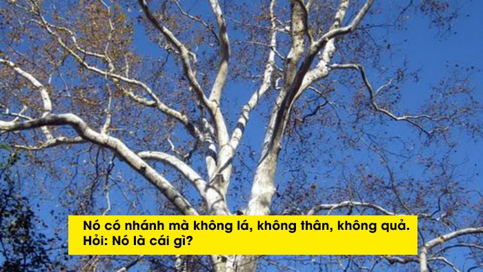 c1388653f46eab7e306d.jpg
