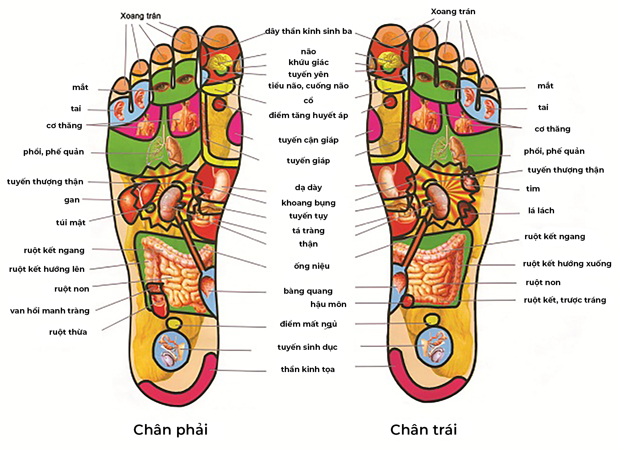 c18069c9d172516cbd56.png