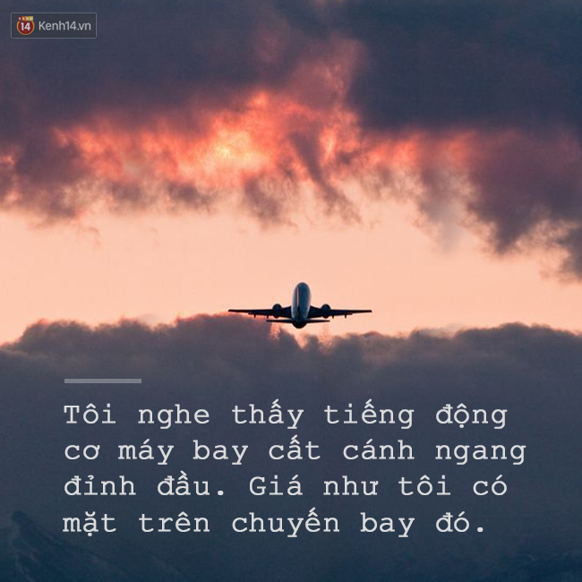 c182339441ab14288530.jpg