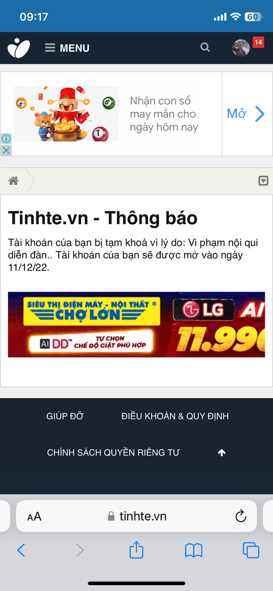 c18acc91c737c8e50d24.jpg
