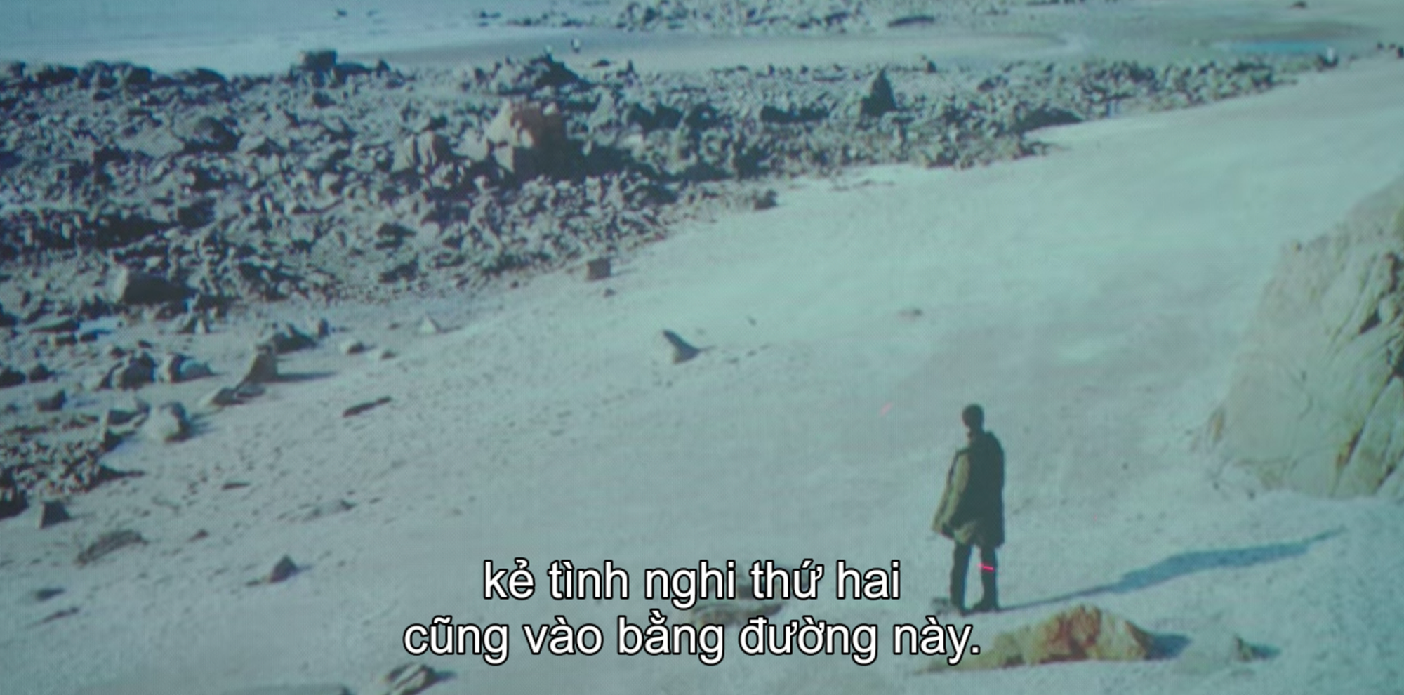 c1ae8099ab9fa1b66d81.png