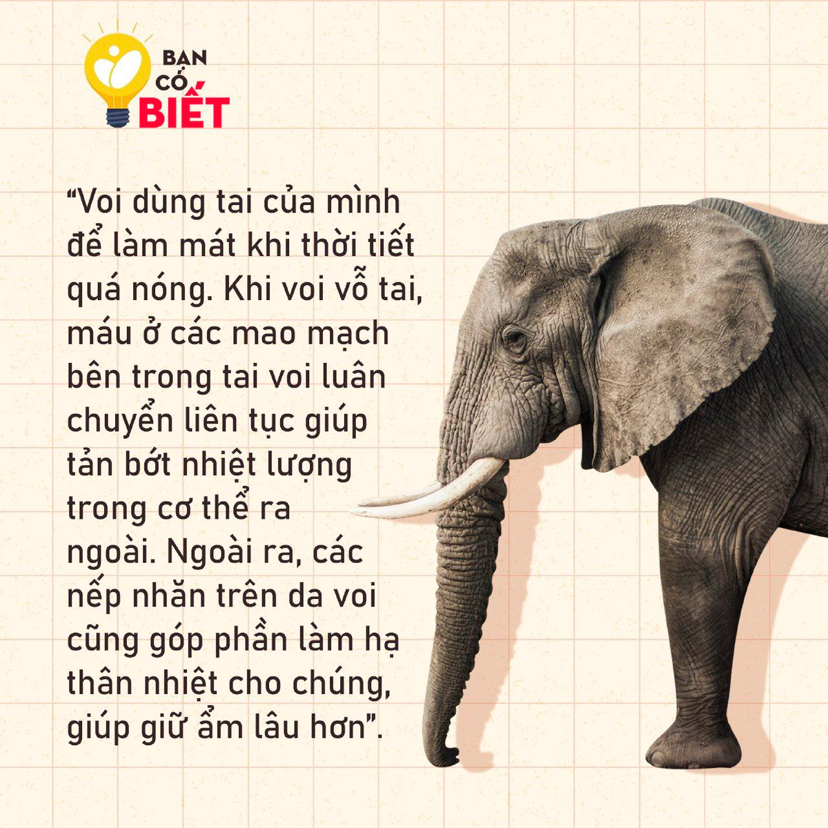 c1cc15834baea0c85534.jpg