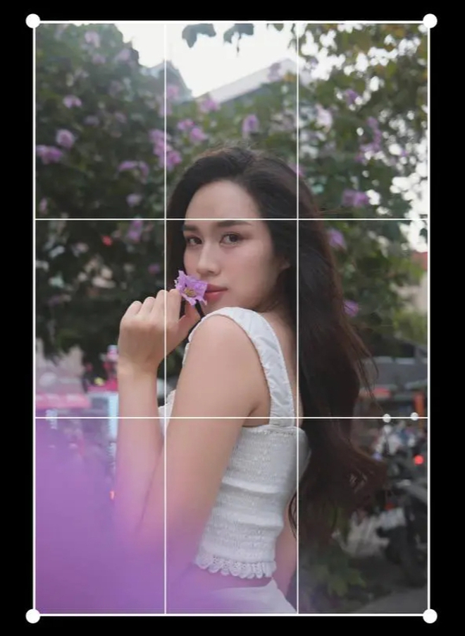 c1d6fd6b21dad61a89ef.jpg