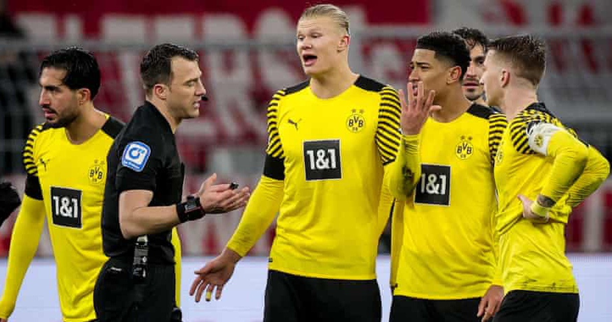 c1e7e8b365266b5f2528.jpg