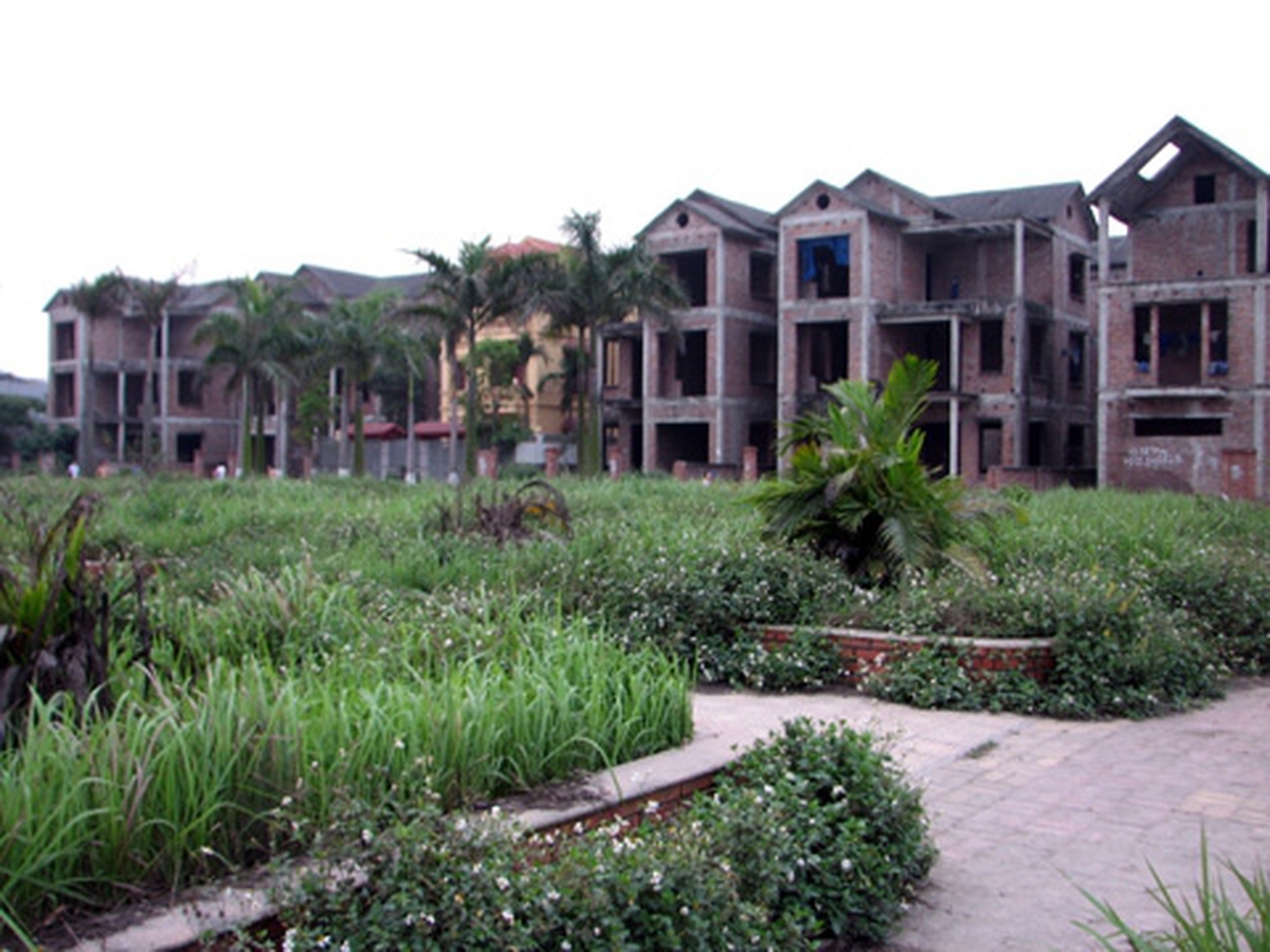 c20096d5136f82403ab3.jpg
