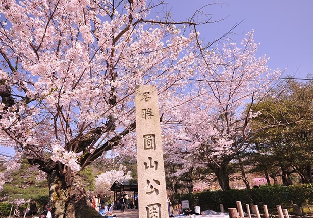 c20cc64c97e56185edab.jpg