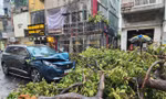c22dd44b6340d6221fbe.jpg