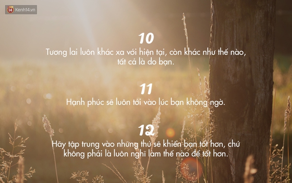 c23fb7a335819a9450e9.jpg