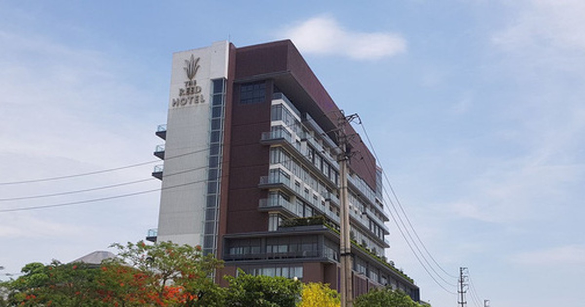 c256cb1007eba48796f2.jpg