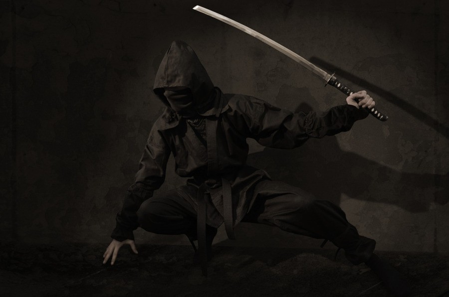 c285054bb8800b38f7e1.jpg
