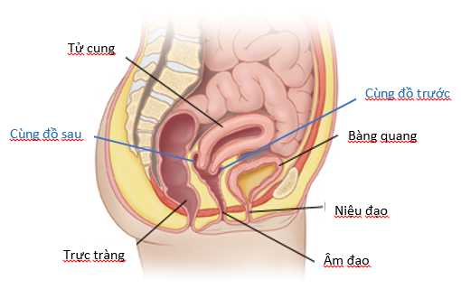 c2913991ebc3ab3507f9.png