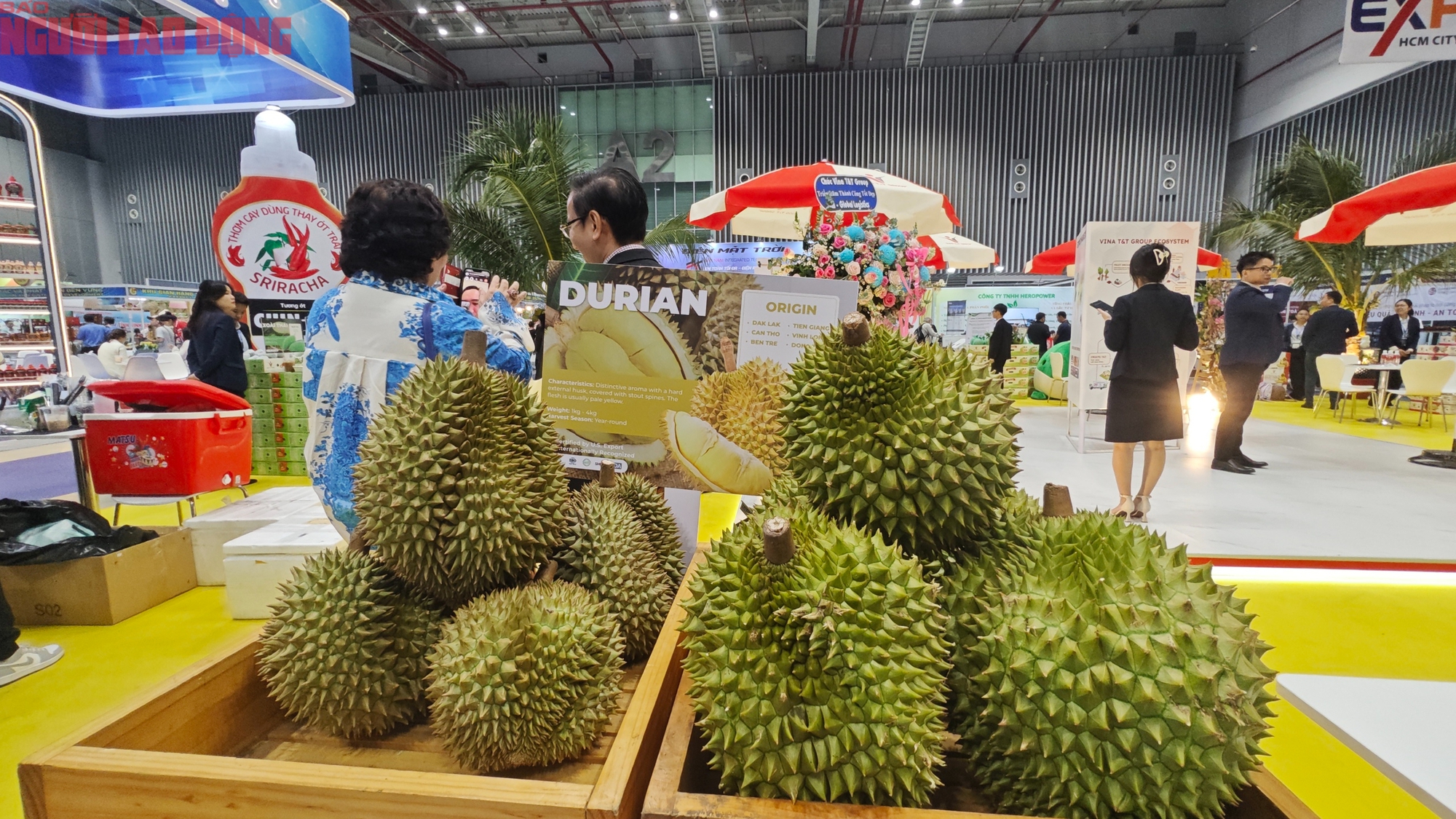 c2a473b85c05646cbd04.jpg