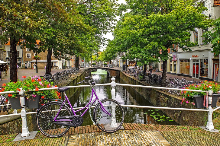 c326538140d2b8ea4827.jpg