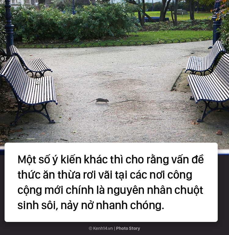 c32b36891aba4a94fa3d.png