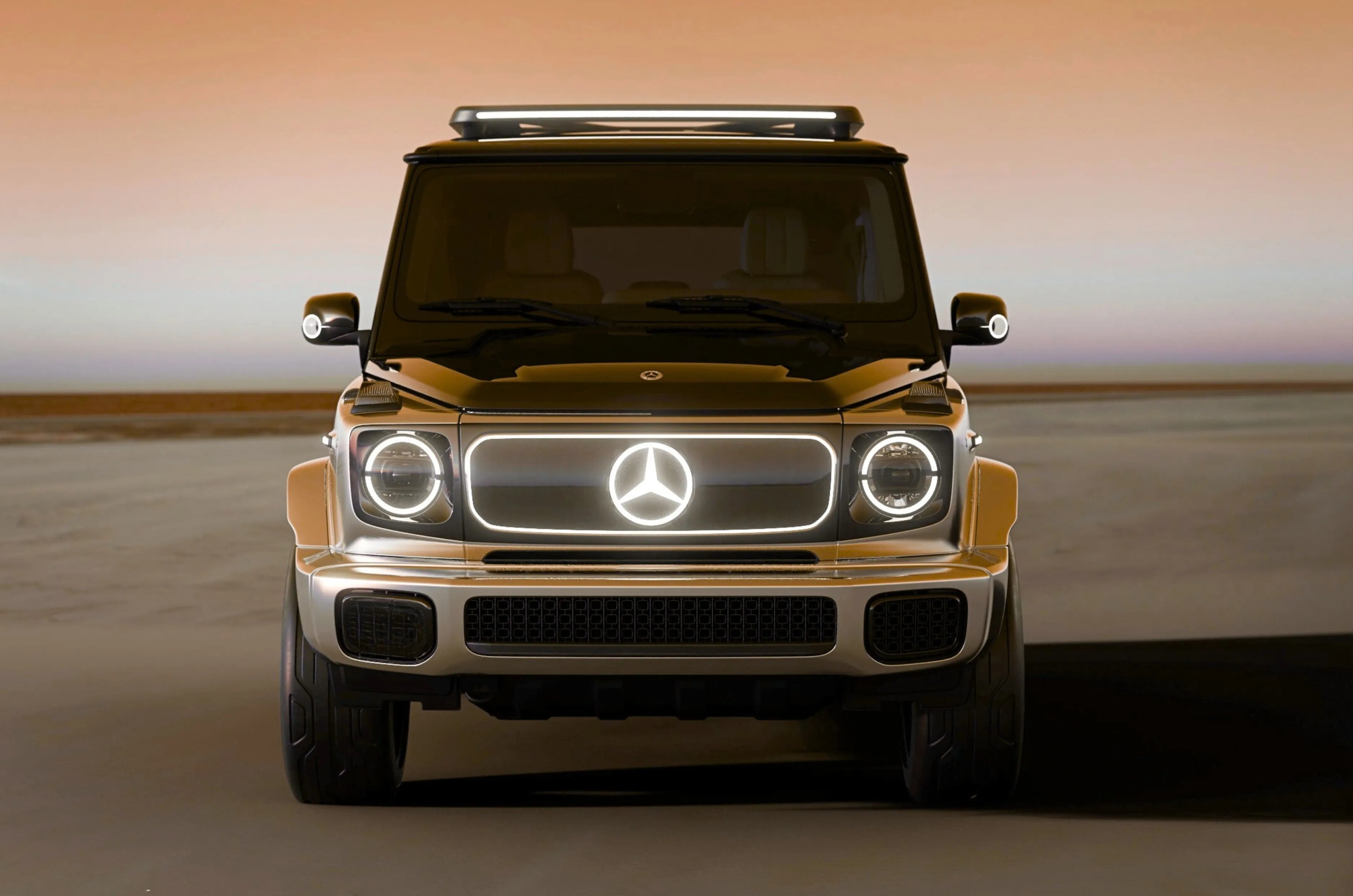 c35561312fd12236c553.jpg