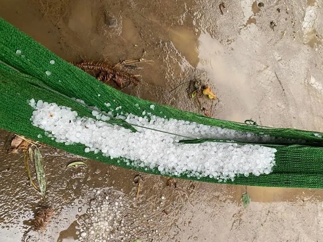 c35b6123e640b8c1fba4.jpg