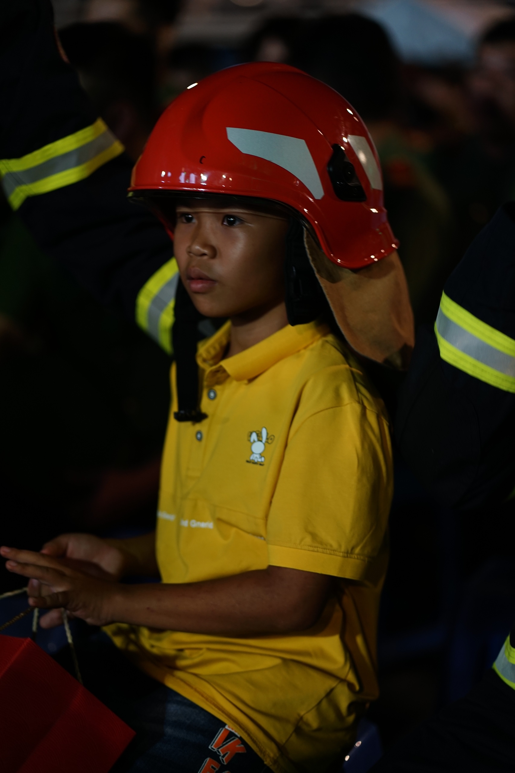 c3731eac0a6519b4b503.jpg