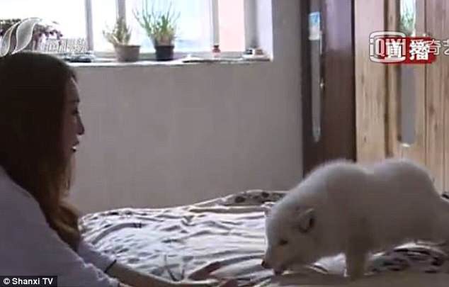 c3e1f0919c049d491de5.jpg