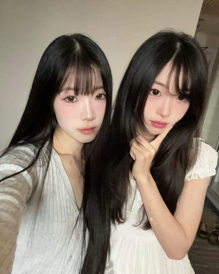 c3f568160ebf3c42dd90.png