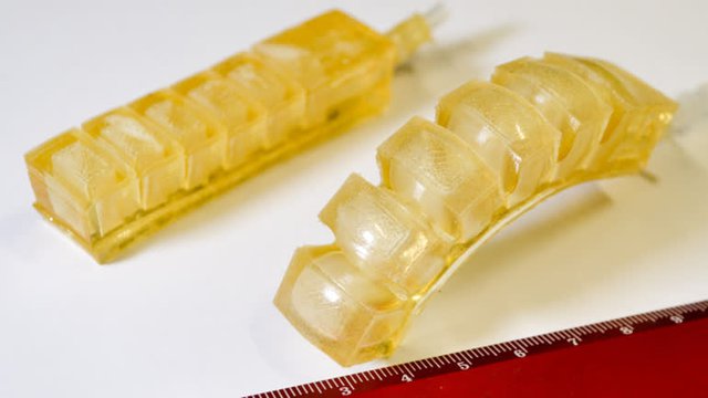 c43006e1b27df8fe2c66.jpg