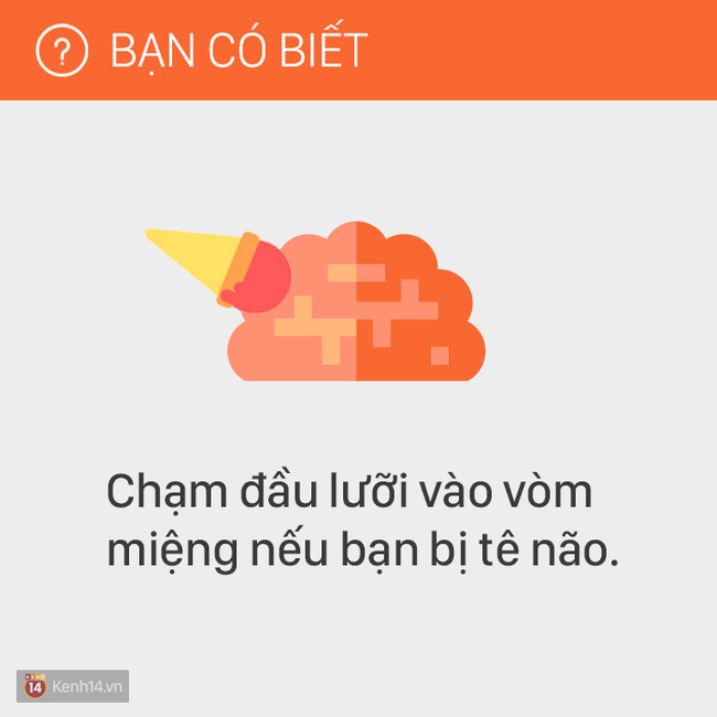 c4316f7fac9b080d52d4.jpg