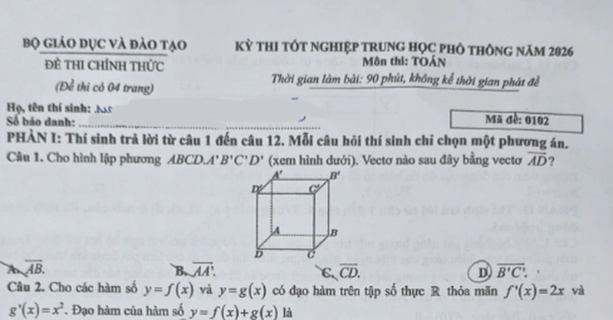 c439a4a713ea717e8773.jpg