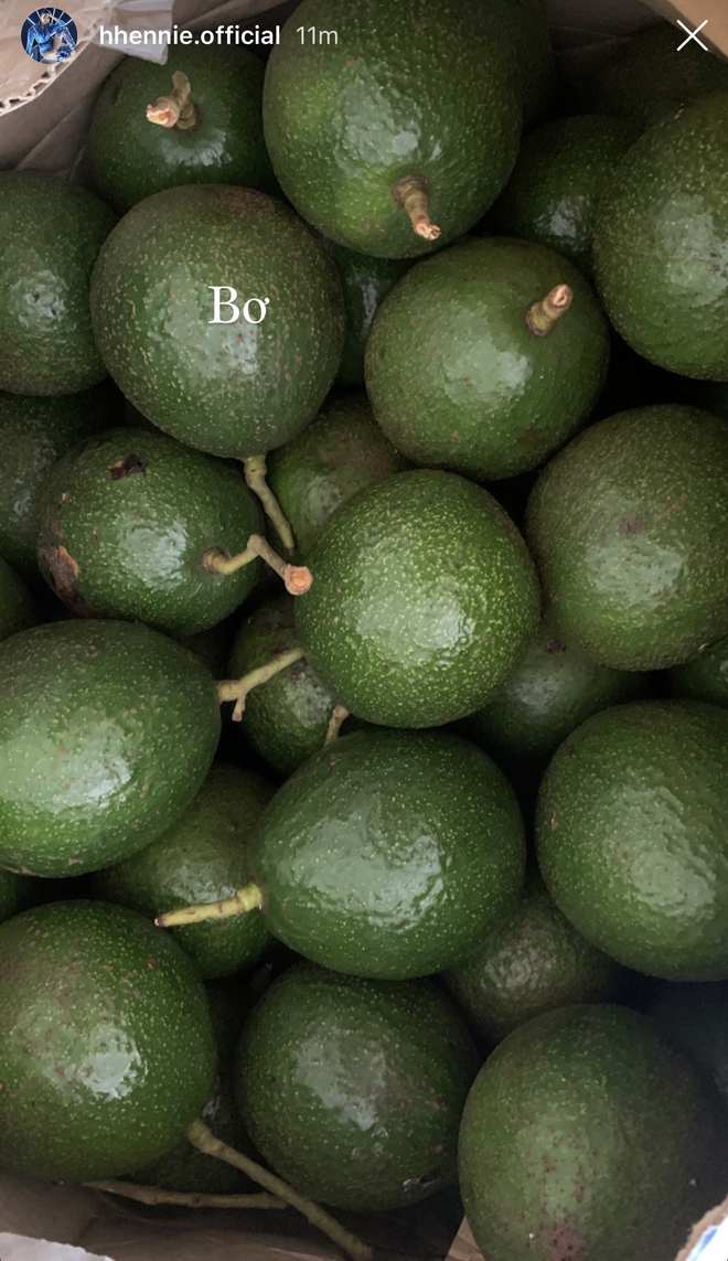 c446655f5041b31a693f.png