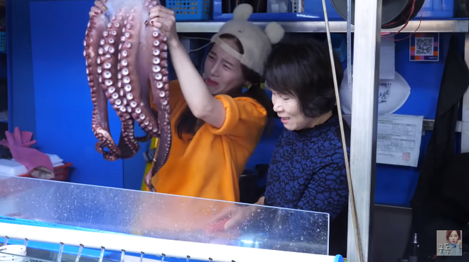 c451559cfcd3215f61e1.png