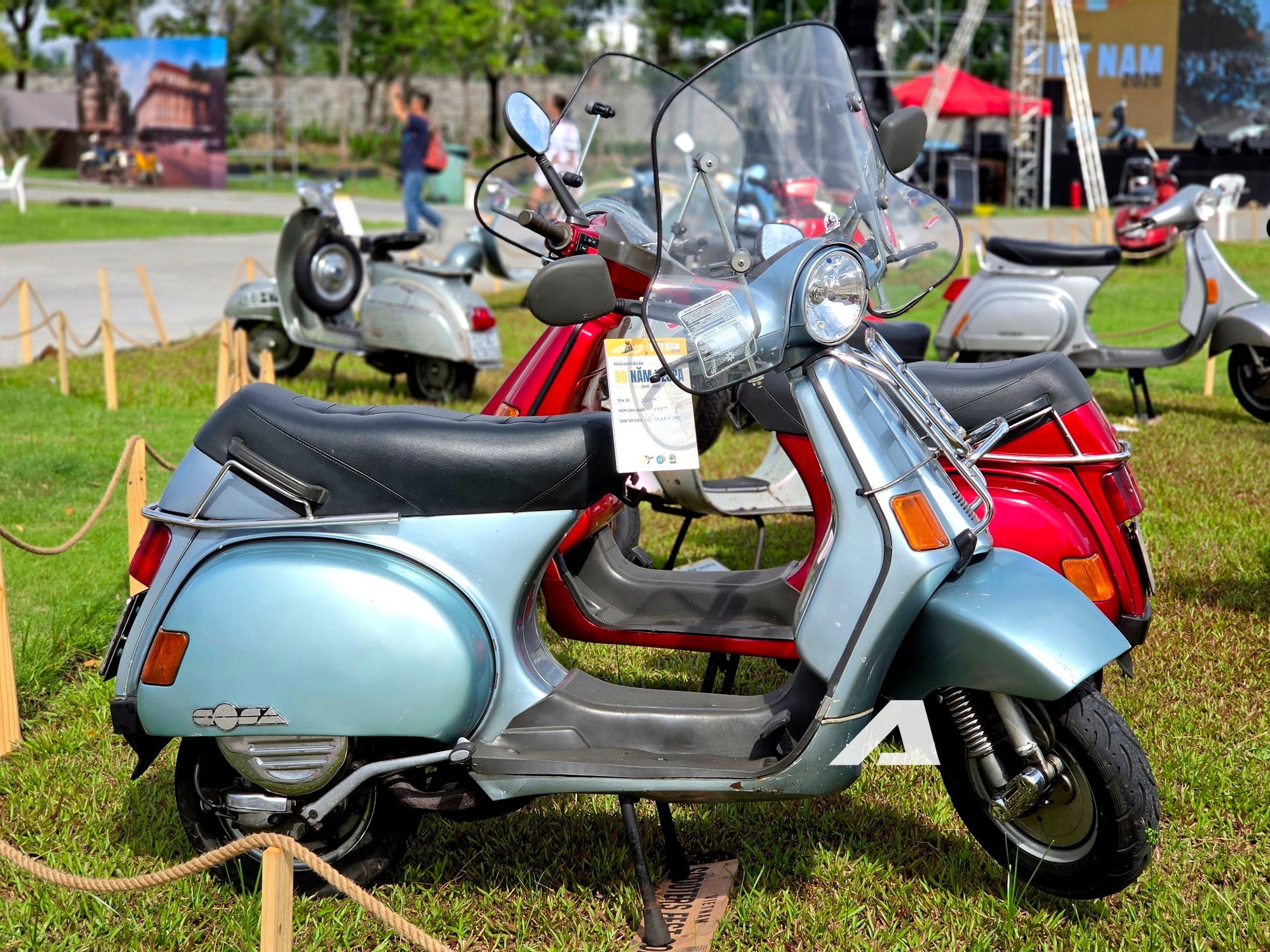 c4539d32b200ef317051.jpg