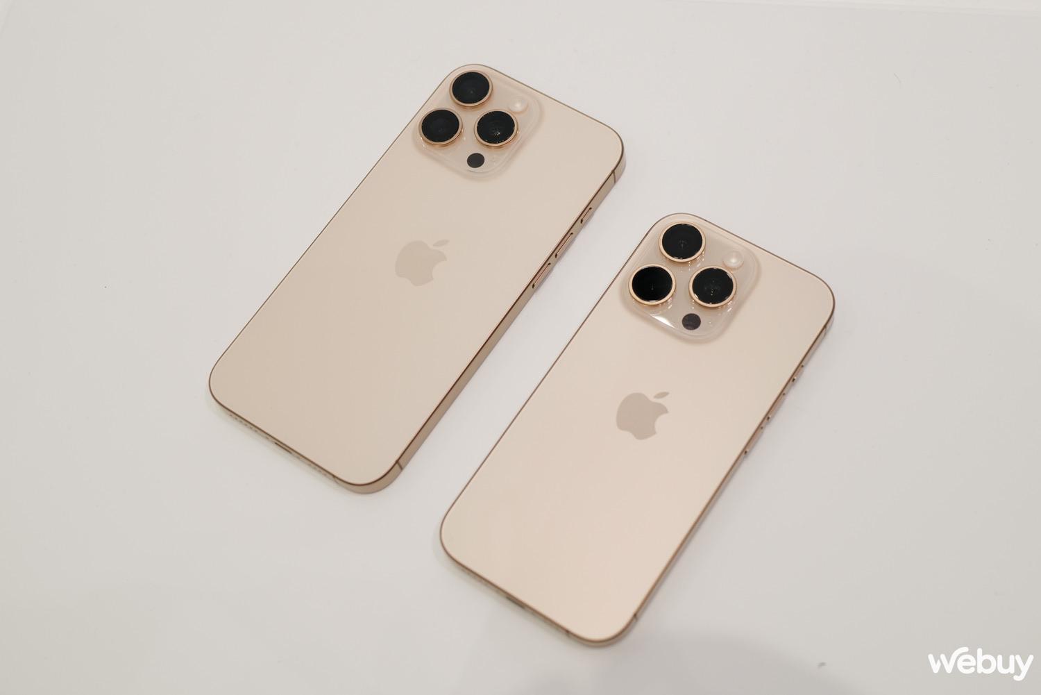 c463590625c654e794d3.jpg