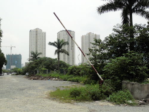 c46fd8410ff78df70524.jpg