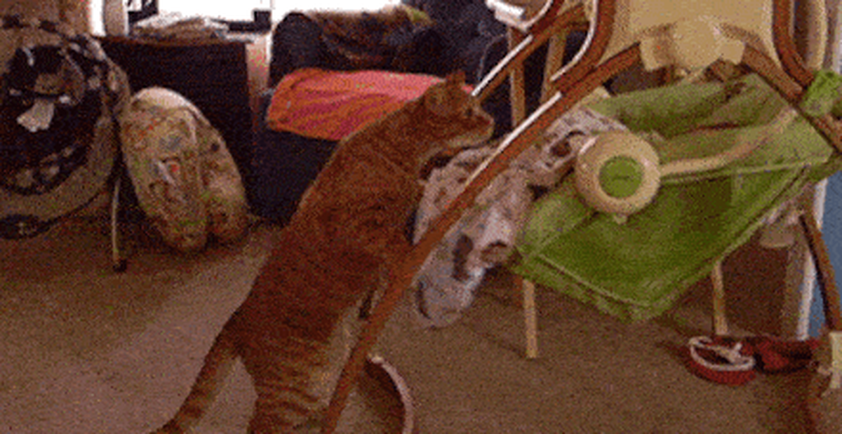 c49868ad5840b7a2a4ef.png