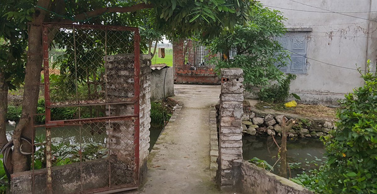 c4a04ab25a07636e6753.png