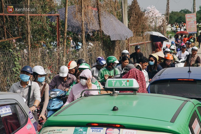 c4a6a22d230404c1f432.jpg
