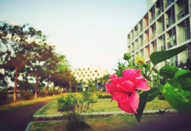 c4d96253973f46dd2bd4.jpg