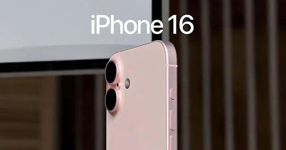 c50fb7216e558e90d33b.jpg