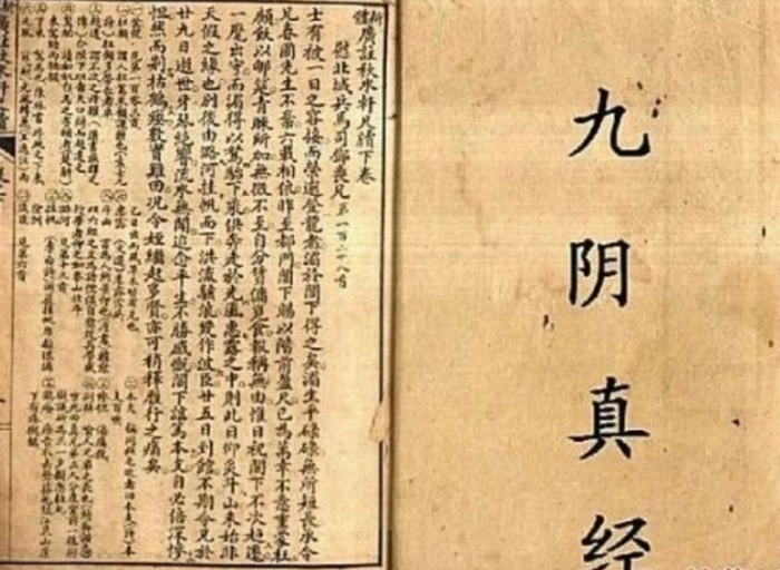 c520a927a46252b3327d.png