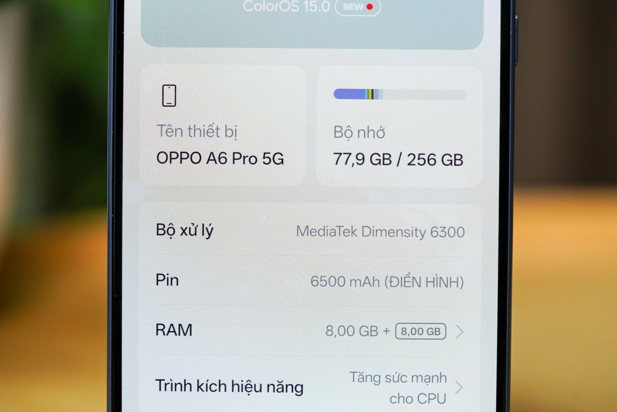 c547ddabb0e7fc6af238.jpg