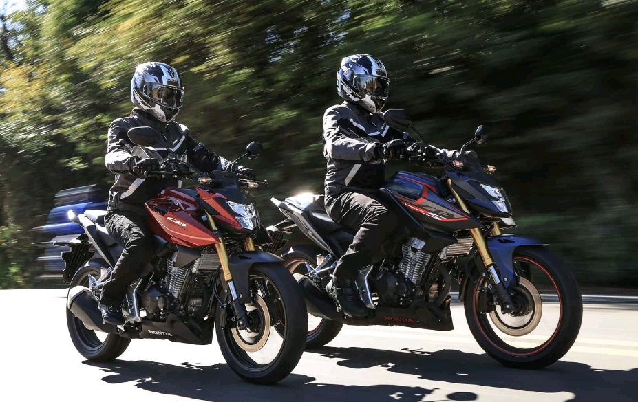 c56cc152a686fd99ec5f.jpg