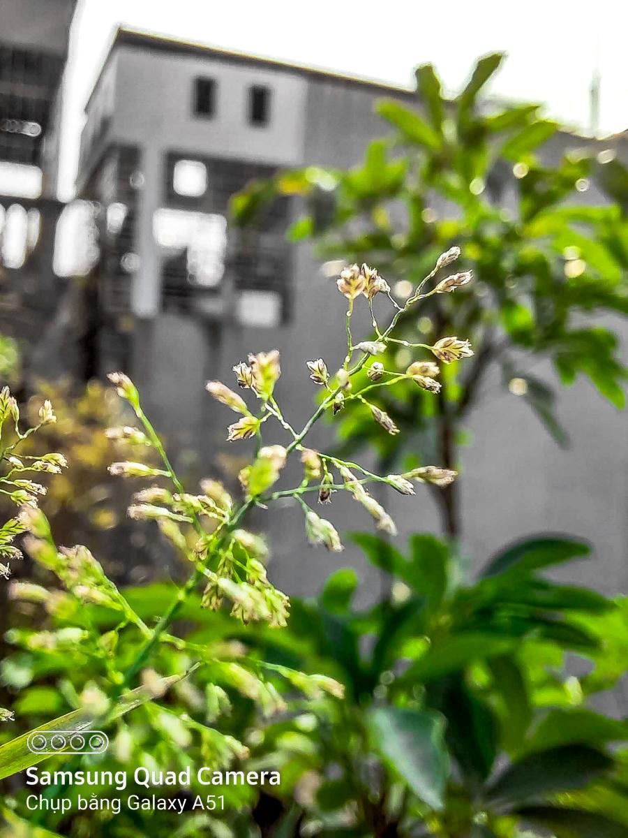 c5d9978f454e7c91f98e.jpg