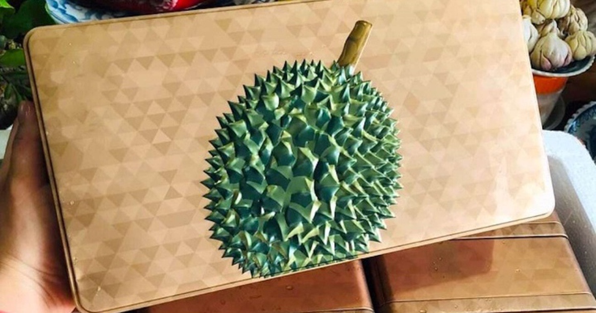 c5e3ca23b1ed261e6117.jpg
