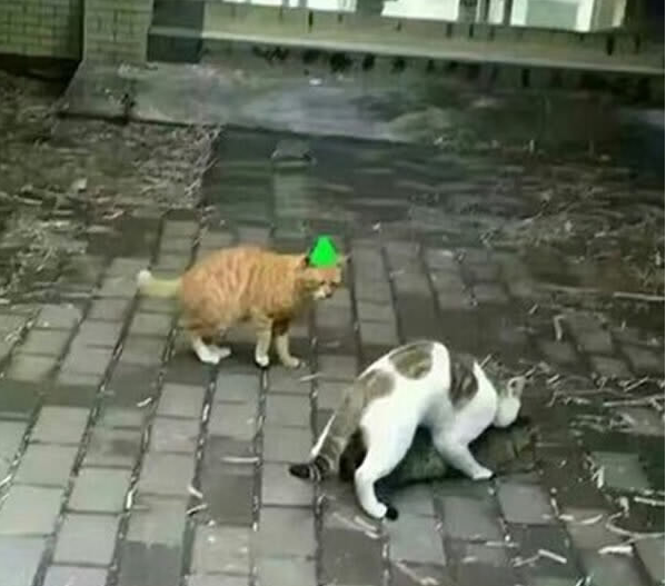 c5eedb4b0266142ba31f.png