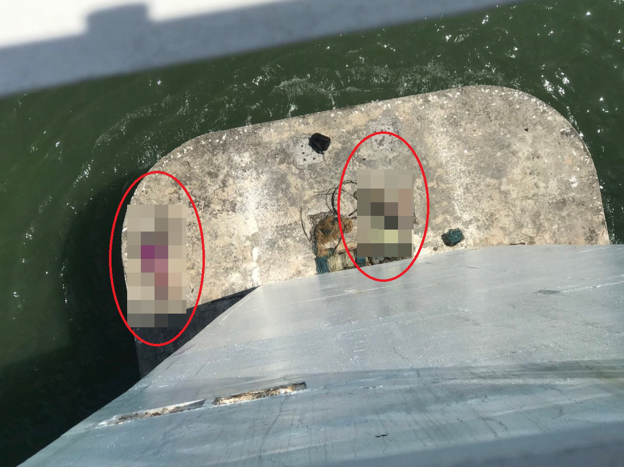 c5f0a6ed7e528f821508.jpg