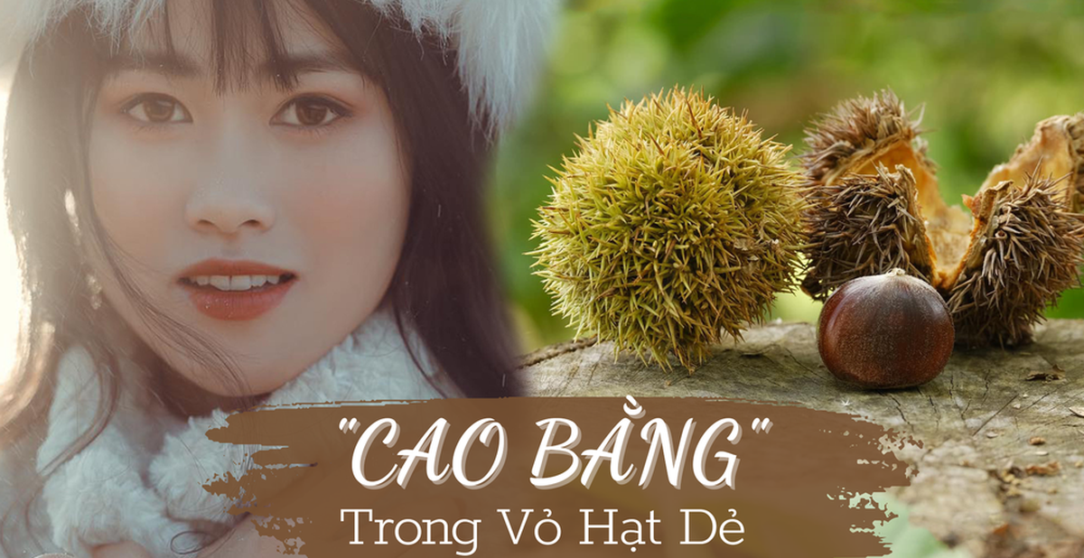 c60480710a562d49a4cd.png