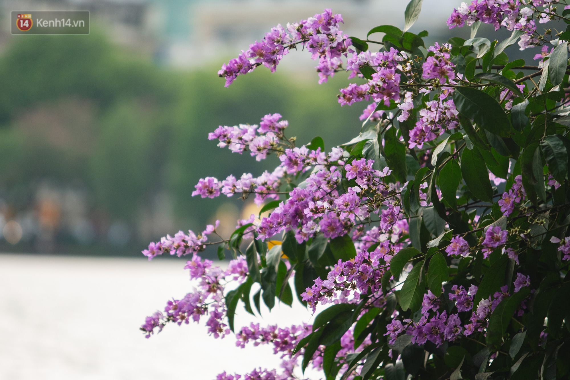 c6088949ab946d7df63a.jpg