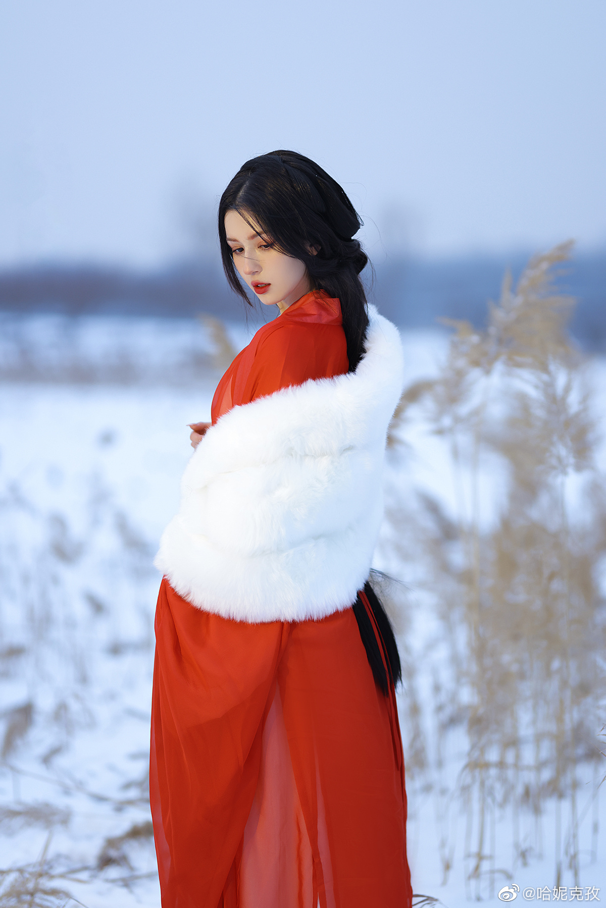 c62dbe4807ae44709fb3.jpg