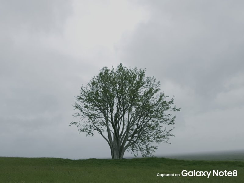 c64f799314925599e954.jpg