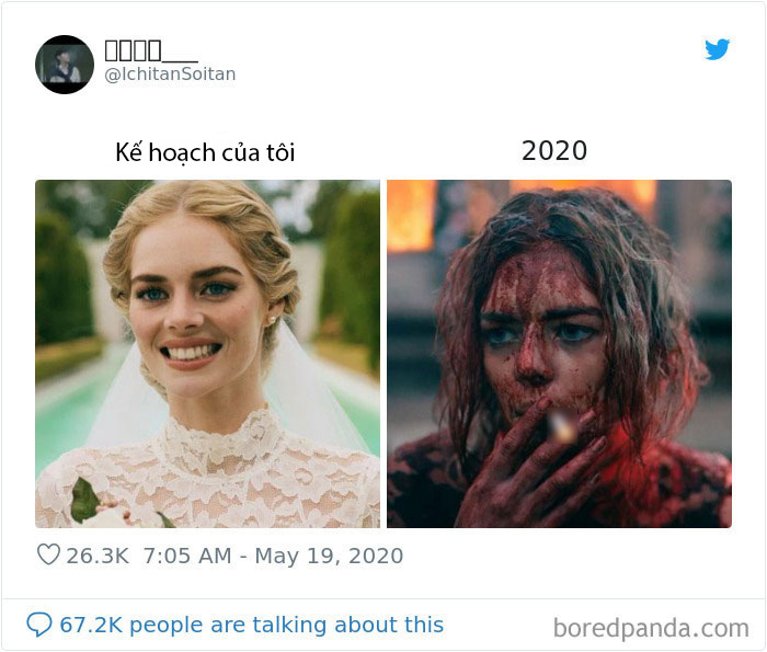 c6662bf39f5b079f882a.jpg