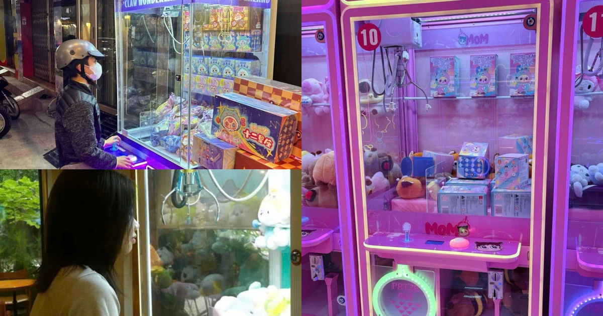 Gen Z "cháy ví" vì mê gắp Baby Three, tưởng hời nhưng lỗ nặng