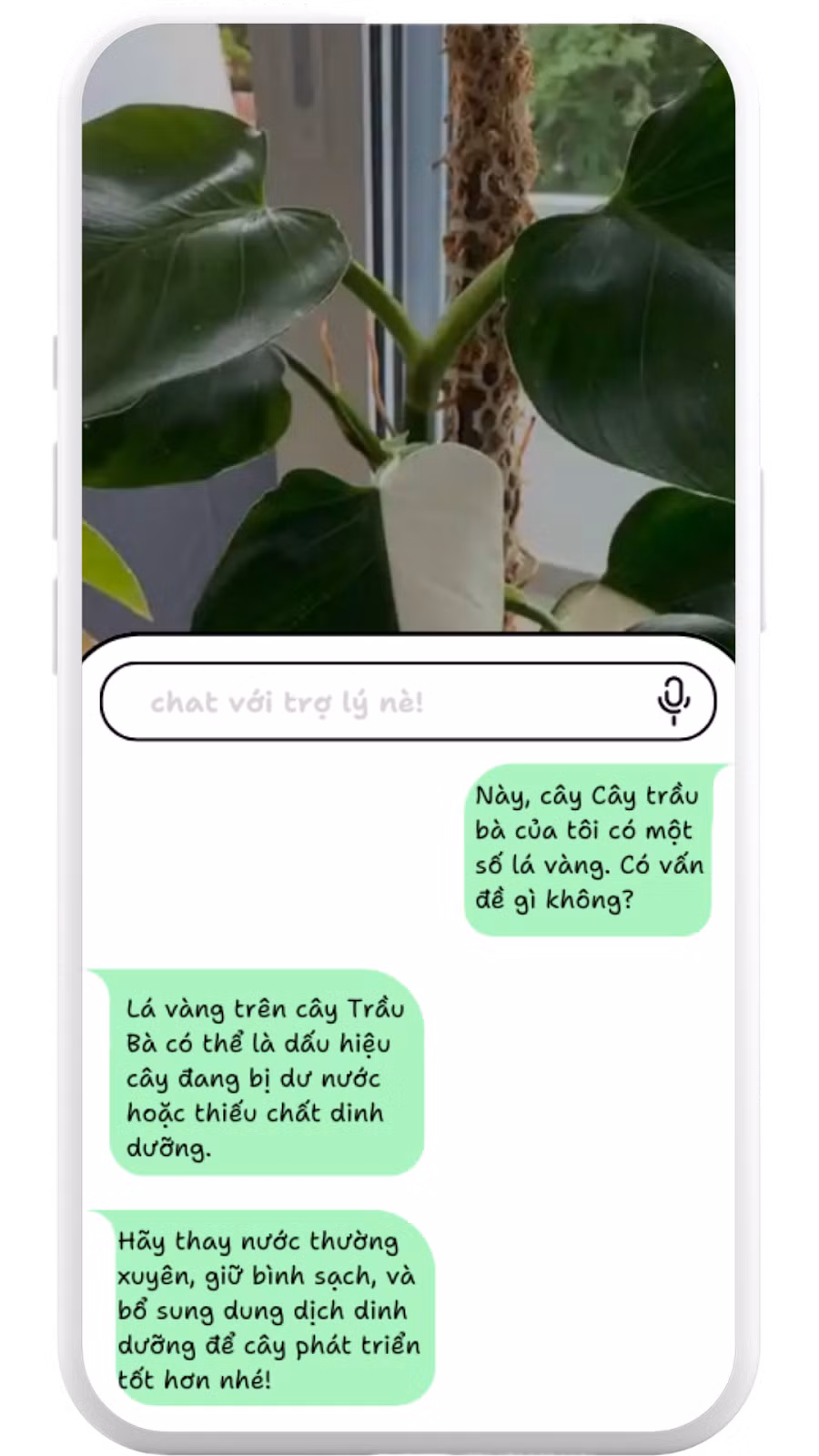 c67ef6f233ca18c7bff4.jpg